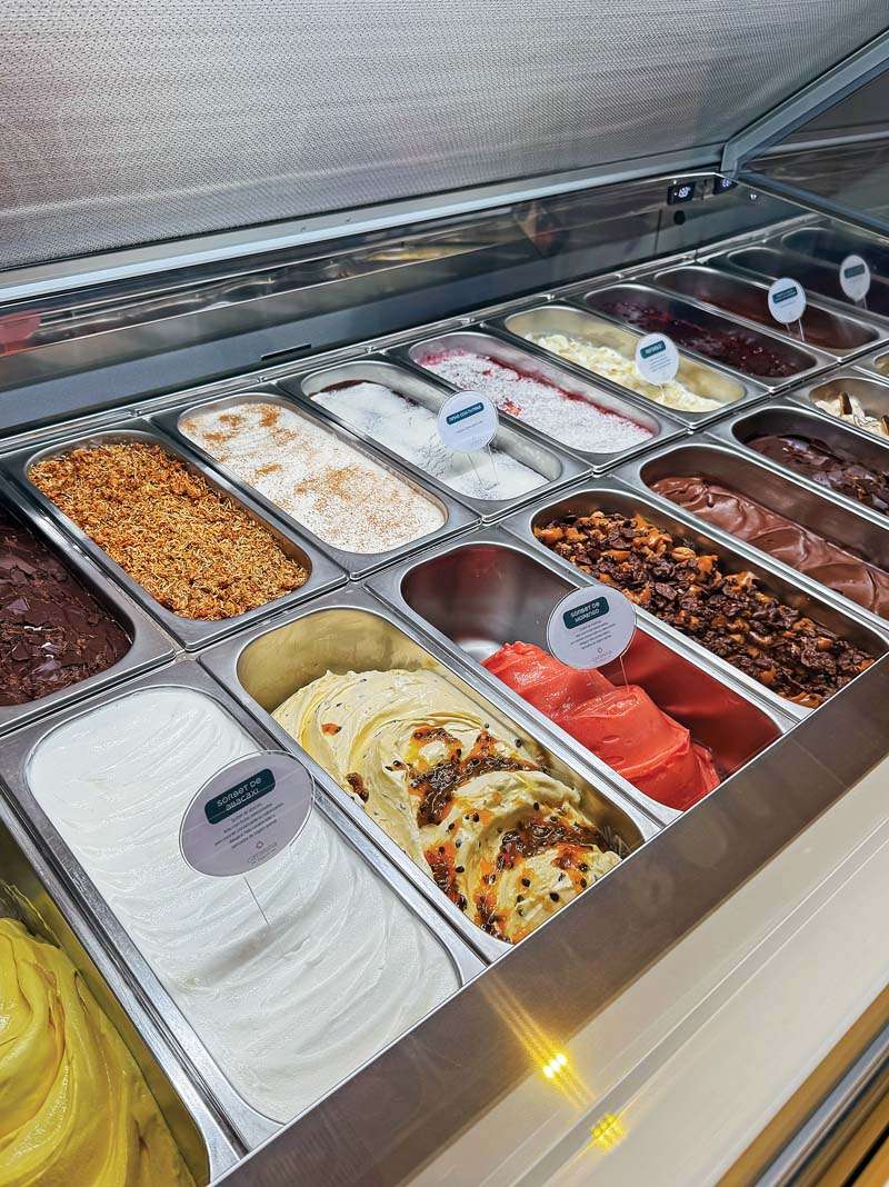A Catarina Gelato possui 18 sabores de gelatos, incluindo o “Catarina” criado para homenagear a história que inspirou a gelateria e também sabores exclusivos, como o “Biscoito da Vaquinha” e a novidade para o verão “Whey Protein Zero Açúcar”. (Foto Gustavo Vitorino)